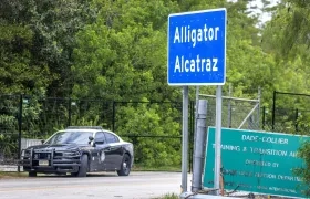 Imagen de referencia.