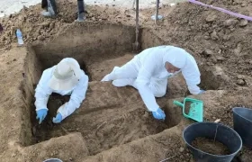La aparición de estructuras óseas se dio en un predio rural.