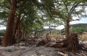 Zona afectada por las inundaciones este miércoles, en Kerville, Estados Unidos.