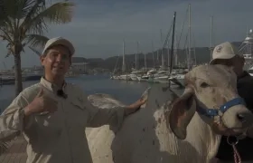 Presidente de Fedegán en la presentación de los 500 años de la ganadería en Colombia