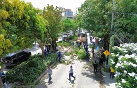 La jornada de limpieza este jueves en la carrera 46 con calle 93. 