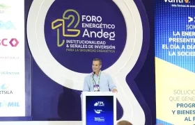 Luis Miguel Fernández, presidente de la Junta Directiva de Andeg.