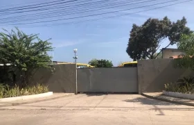 Nevada de Expreso Colombia Caribe