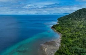 Isla Gorgona, en el Pacífico. 
