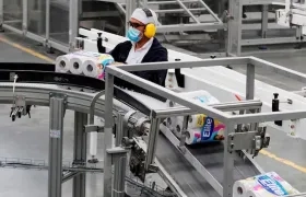 Imagen de referencia.