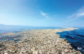 Cada año cientos de miles de toneladas de desechos son arrastrados a las costas.
