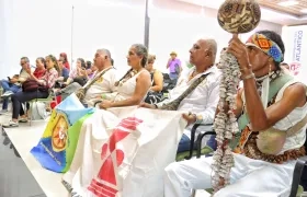 Festival de Música Medicina del Caribe.