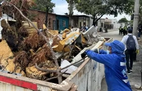 Jornada de limpieza en El Bosque.