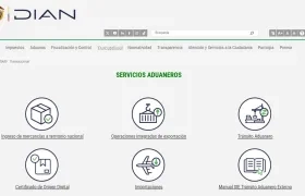 Pagina web de la Dian. 