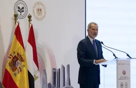Rey Felipe VI.