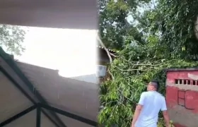 Daños en la infraestructura del colegio. 