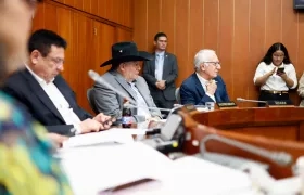 El ministro de Salud, Guillermo Alfonso Jaramillo, en la Comisión Séptima del Senado.