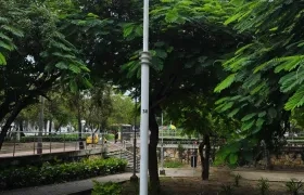 Iluminación en parque de Barranquilla.