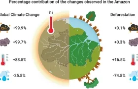 Gráfico que revela el porcentaje de contribución a las alteraciones ambientales en la Amazonía.