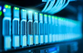 Imagen de referencia.