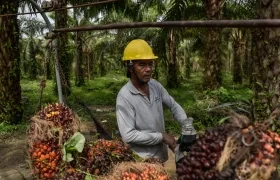 El evento se realizará del 23 al 25 de septiembre en Cartagena. 