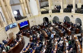Plenaria del Senado.