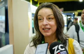 Sandra Fonseca, directora Ejecutiva de Asoenergía.