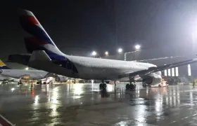 Se espera de la aprobación del aceite de palma como materia prima para el SAF por parte OACI.