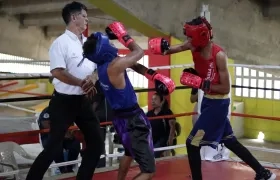 El torneo se disputa en las categorías infantil, junior, juvenil y mayores.