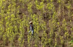 Imagen de referencia.