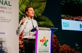 Nicolás Pérez Marulanda, presidente Ejecutivo de Fedepalma.