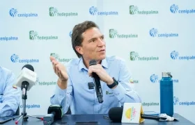 Nicolás Pérez Marulanda, presidente Ejecutivo de Fedepalma.