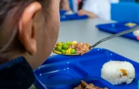 Imagen de referencia del PAE.