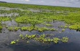Así se ve la margen occidental de Nueva Venecia
