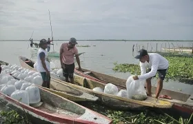 Beneficiarios del ‘Plan + Pescao’