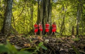 Imagen de referencia.