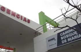 Camino Bosque de María. 