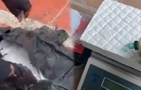 Clorhidrato de cocaína hallada en playas de Santa Verónica