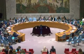 Consejo de Seguridad de la ONU. 