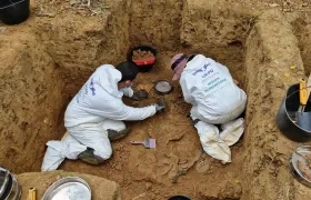 Imagen de referencia.