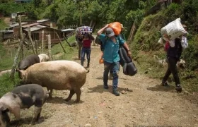 Desplazamiento Forzado
