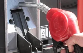 Imagen de referencia.