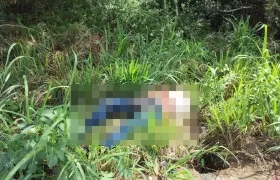 Hallazgo de cuerpo en jurisdicción de Puerto Colombia. 