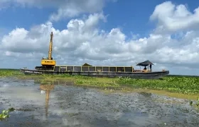 La invasión de Hydrilla en la Ciénaga Grande de Santa Marta