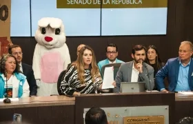 La senadora y precandidata presidencial Paloma Valencia.