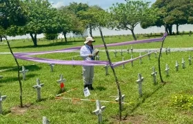 Personal de la UBPD en búsqueda en el Calancala