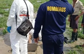 Autoridades en el levantamiento del cadáver de Marlon Pérez.