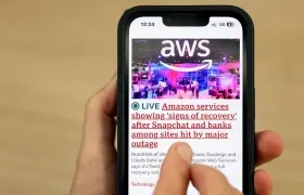 Imagen de referencia.