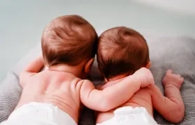 Nacimientos múltiples.