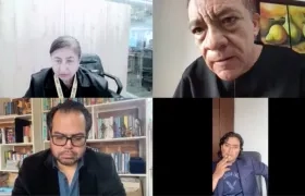 Aspecto de la audiencia virtual de este viernes. 