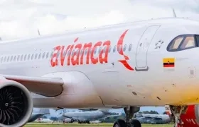 Imagen de referencia.