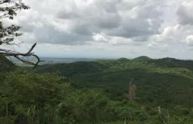 Imagen de referencia del Bosque Bijibana en Atlántico.