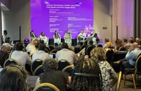 Panel sobre Seguridad Alimentaria y Hambre Cero.
