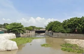 Imagen de referencia.