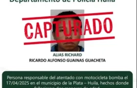 Capturado Ricardo Alfonso Guainas Guachetá. 
